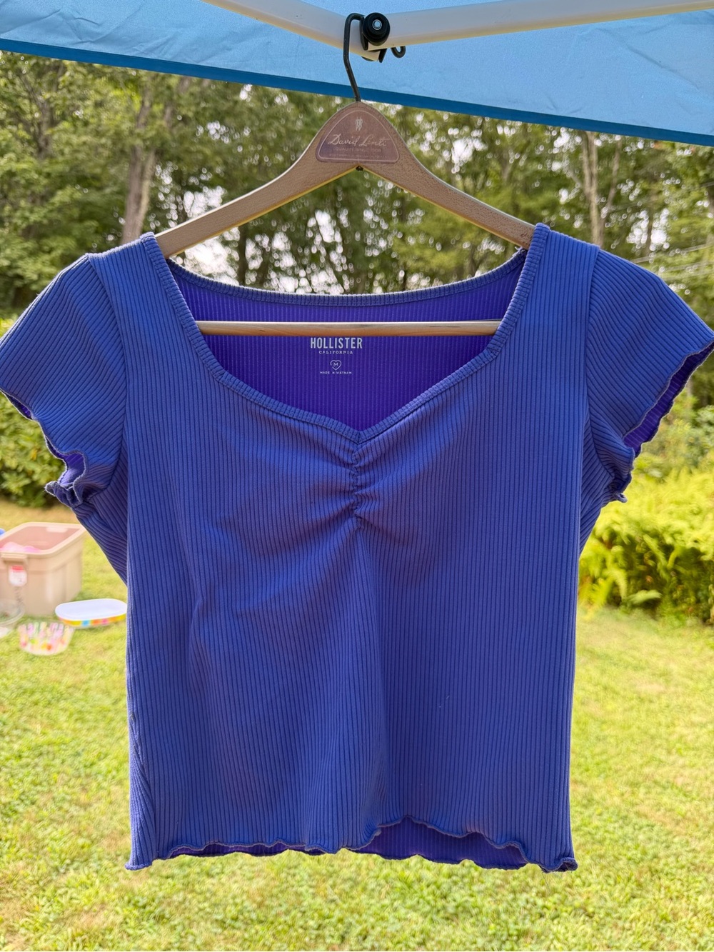 Hollister Ribbed Short Sleeve V-Neck Crop Top - Purple